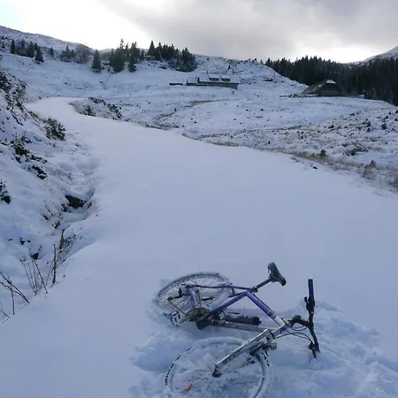 Haus Kaser Apartment *