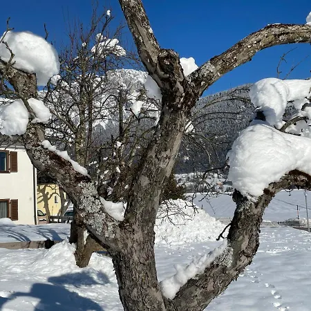 Haus Kaser 公寓 Goderschach