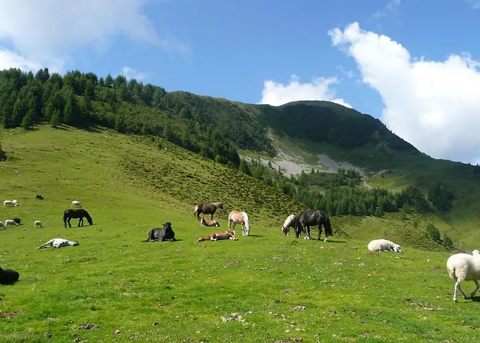 Haus Kaser Goderschach