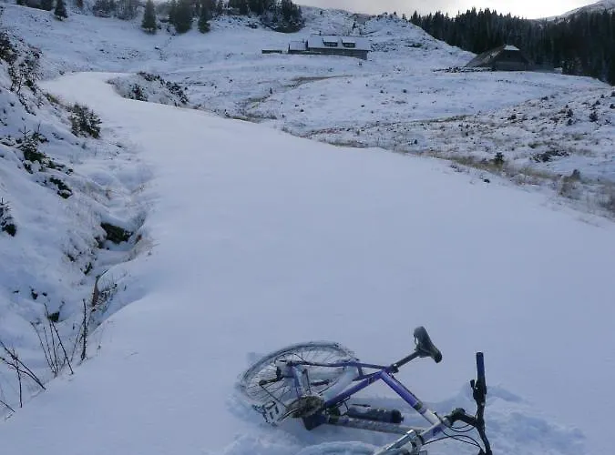 Haus Kaser Apartment *