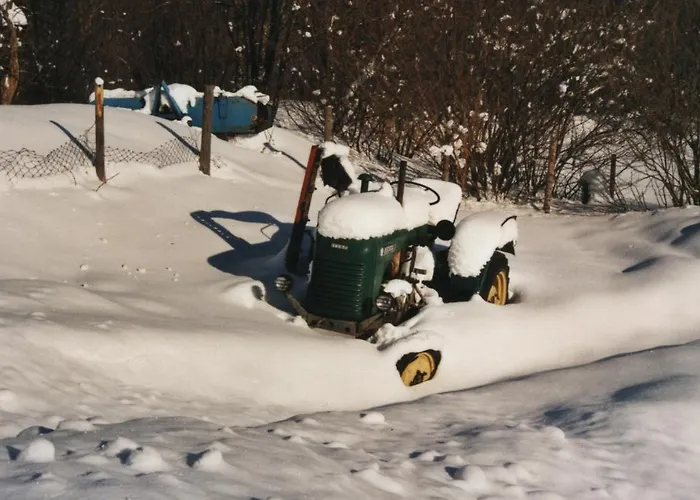 Haus Kaser Apartment