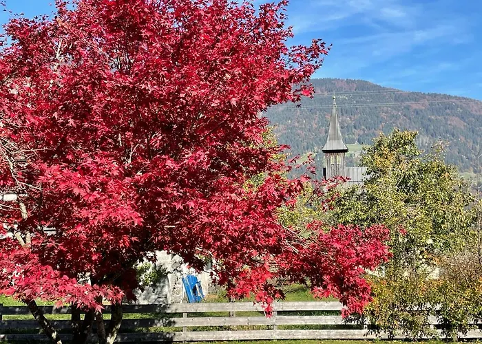 Haus Kaser Apartment *