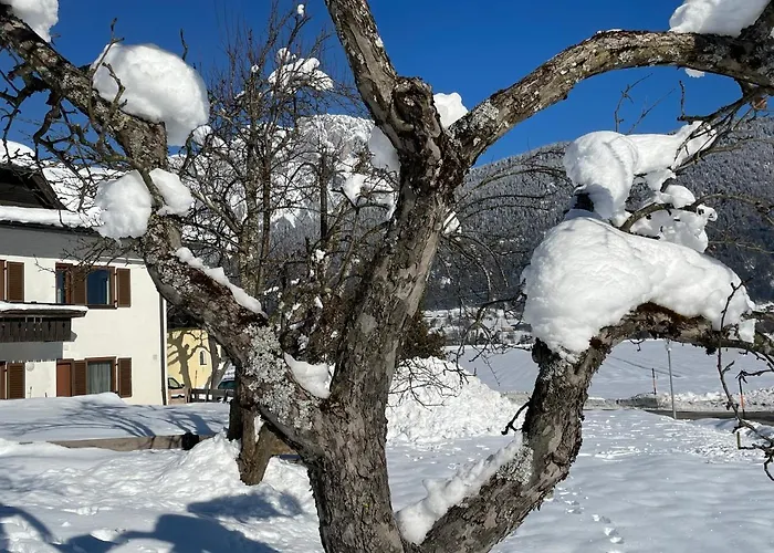 Haus Kaser Apartment Goderschach
